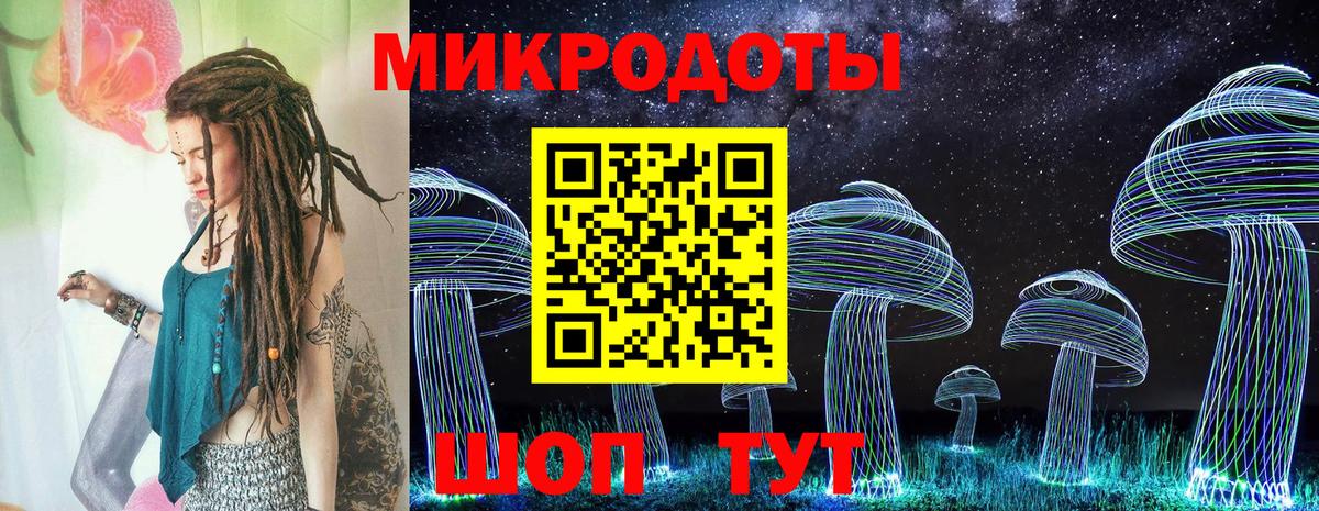 Аша  Галлюциногенные грибы Psilocybe  Вход с VPN 